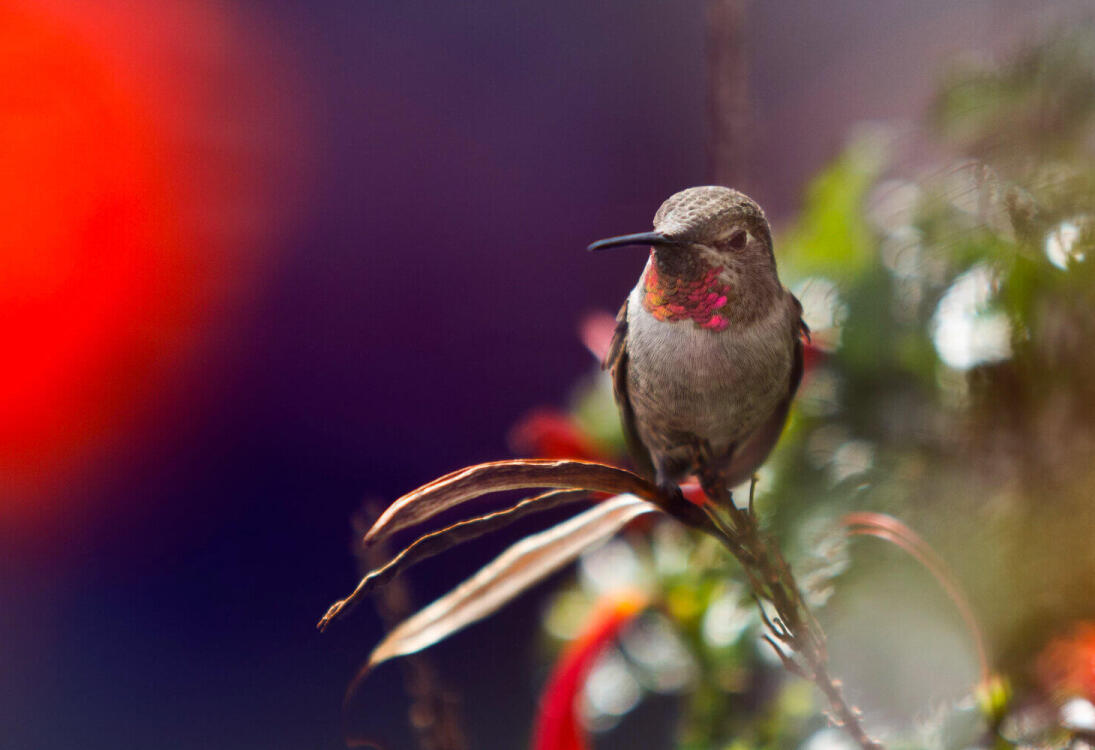 Hac Öncesi Hazırlıklar5