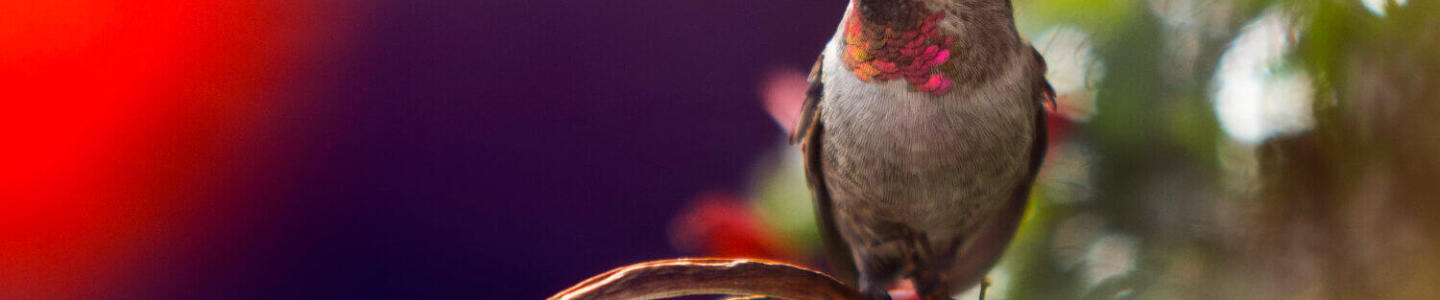 Hac Öncesi Hazırlıklar5