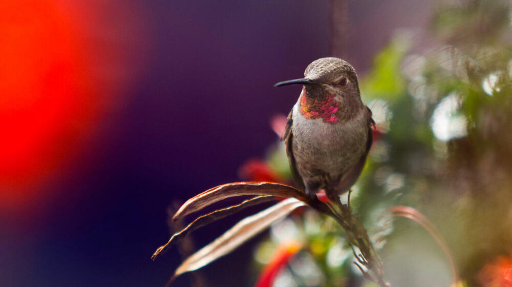 Hac Öncesi Hazırlıklar5